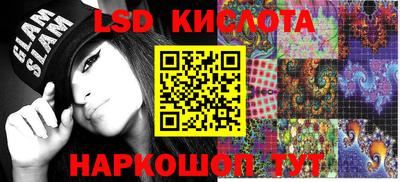 молекула духа Пугачёв