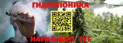 молекула духа Пугачёв