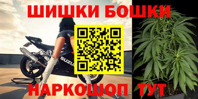 молекула духа Пугачёв